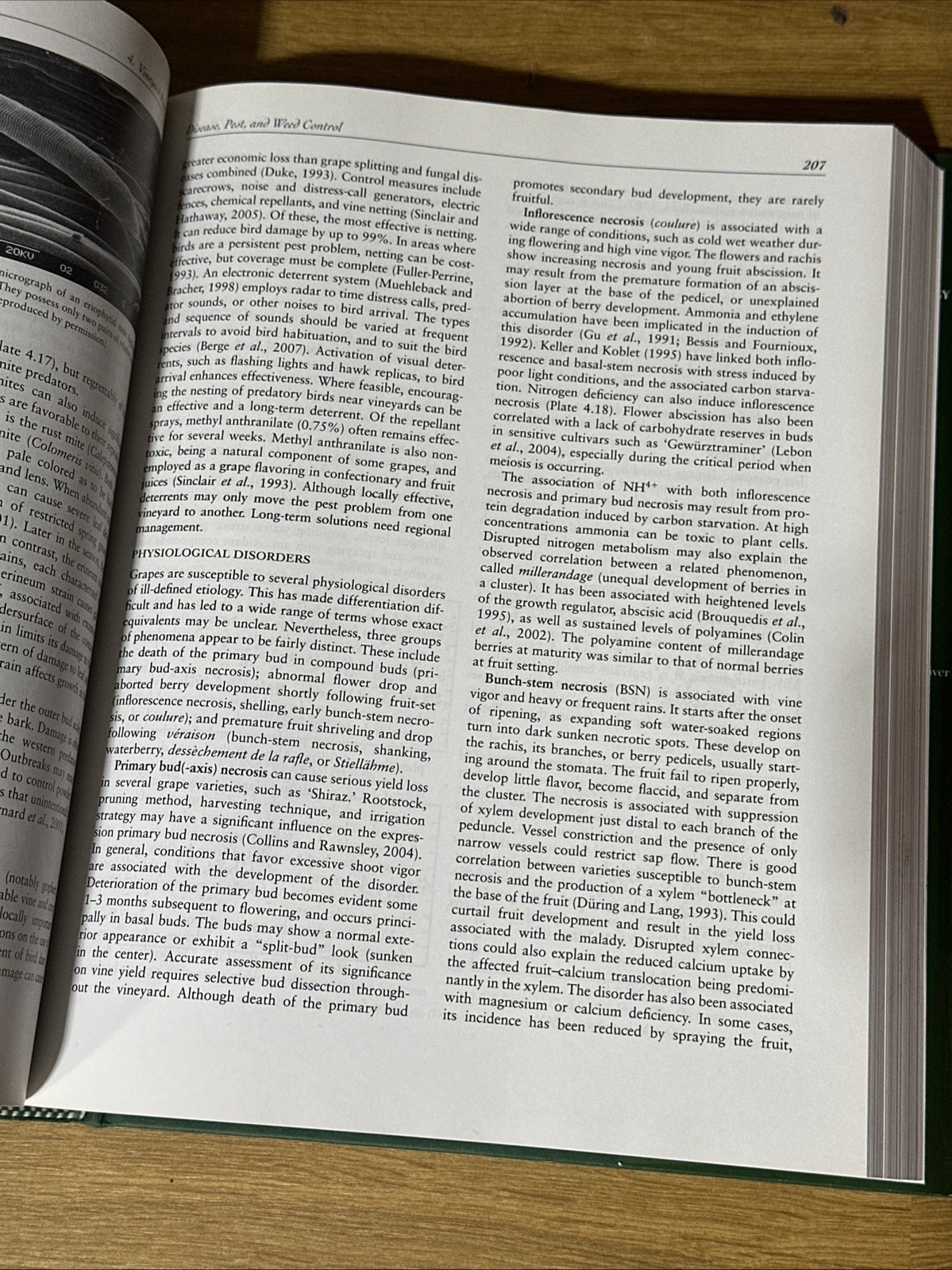 Wine Science: Principles and Applications [Food Science and Technology]