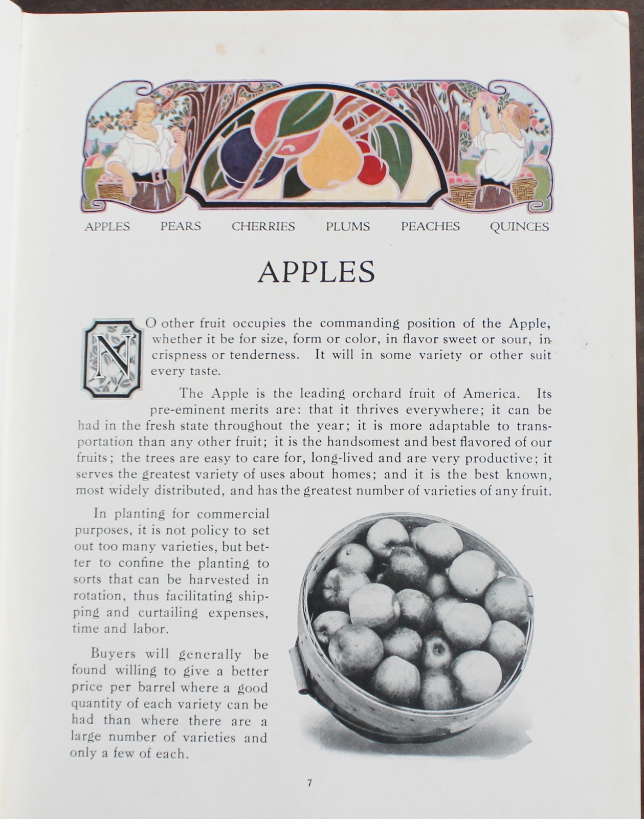 Rare Antique Old Book Chase Fruit Tree Flower Garden 1922 Vine Natural Nature ⭐