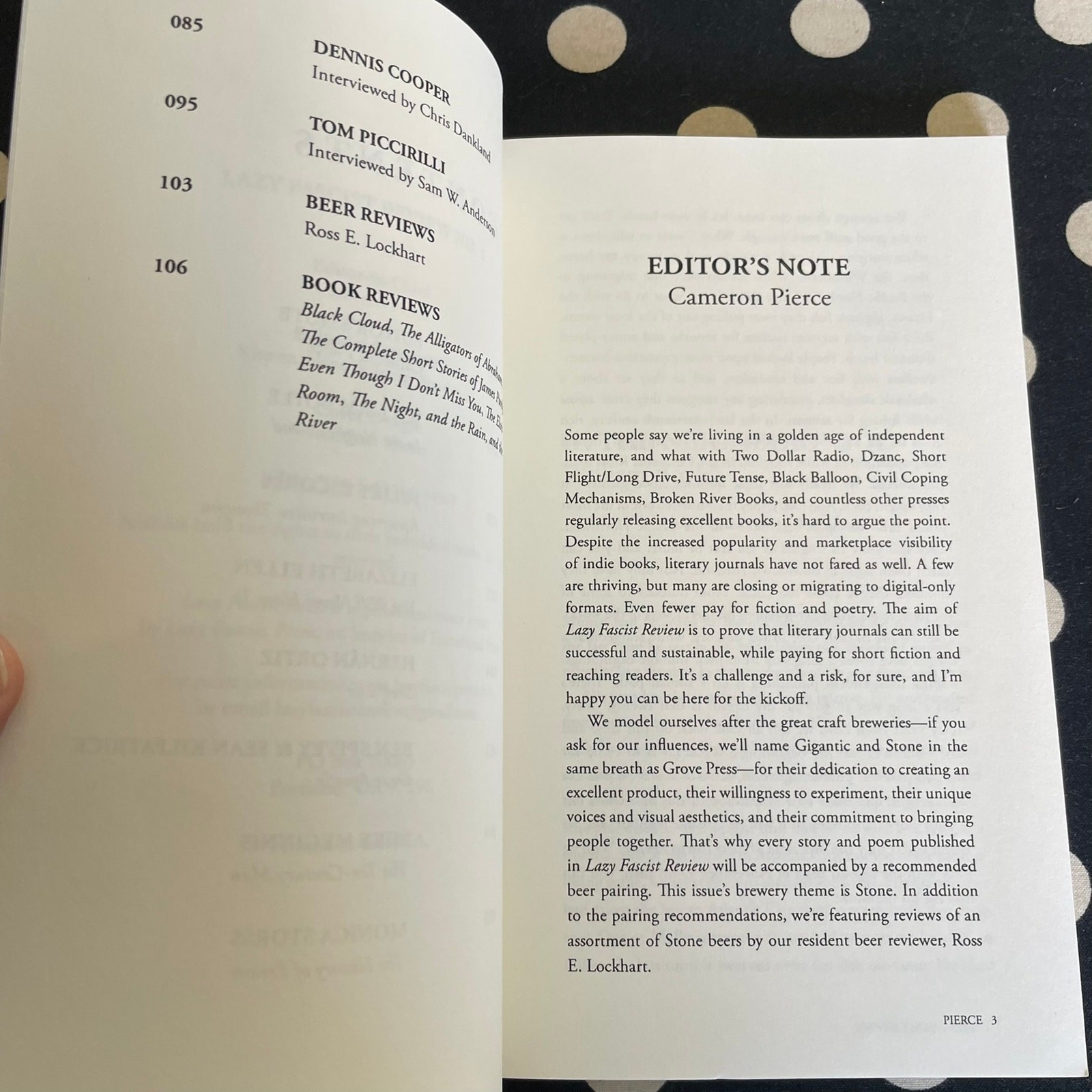 Lazy Fascist Review No. 1 2014 Softcover Literary Journal DENNIS COOPER