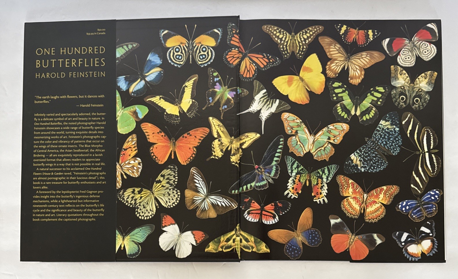 One Hundred Butterflies Hardcover Book by Harold Feinstein Dust Cover Color Pics