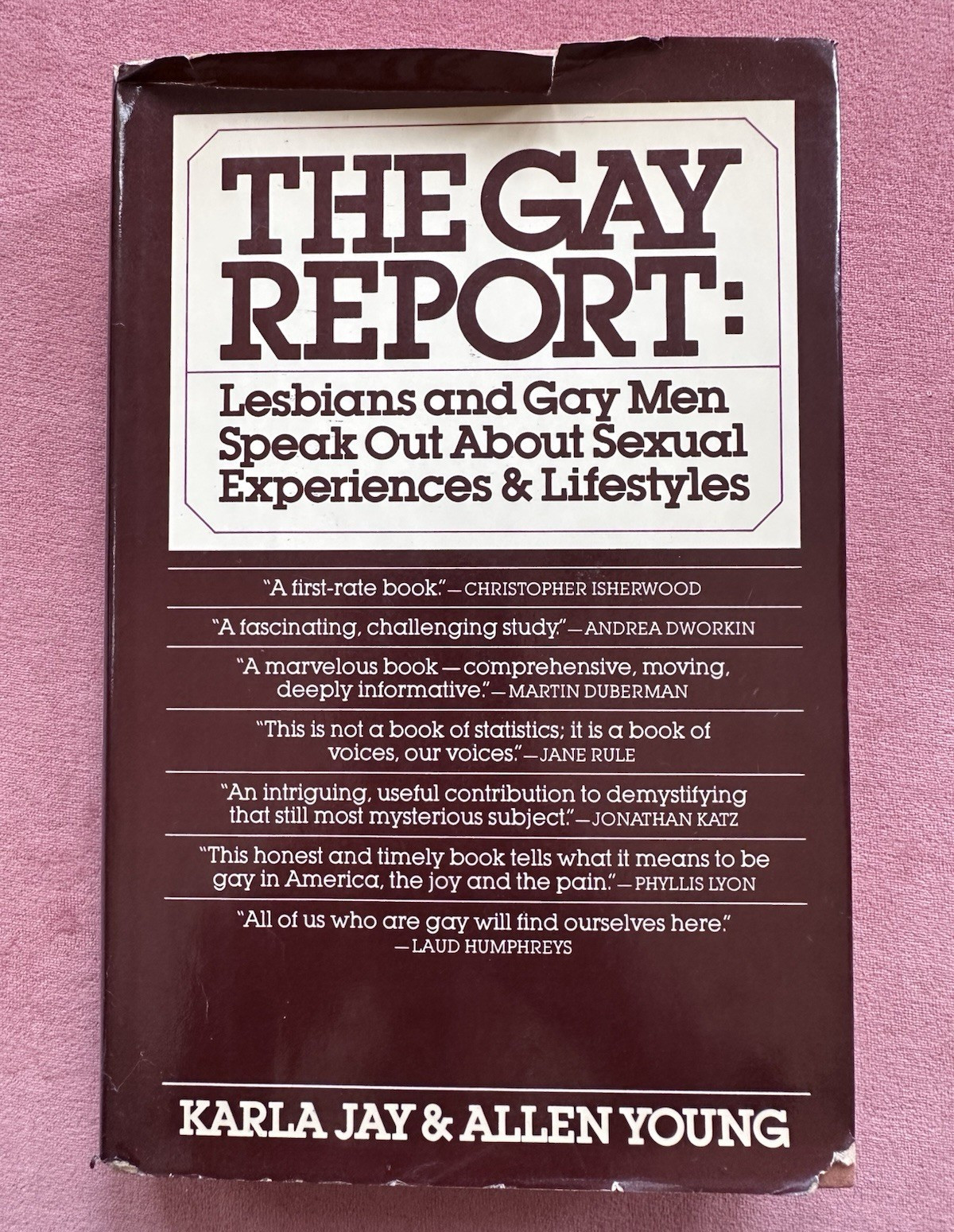 The Gay Report by Karla Jay & Allen Young PB LGBT Studies 1979