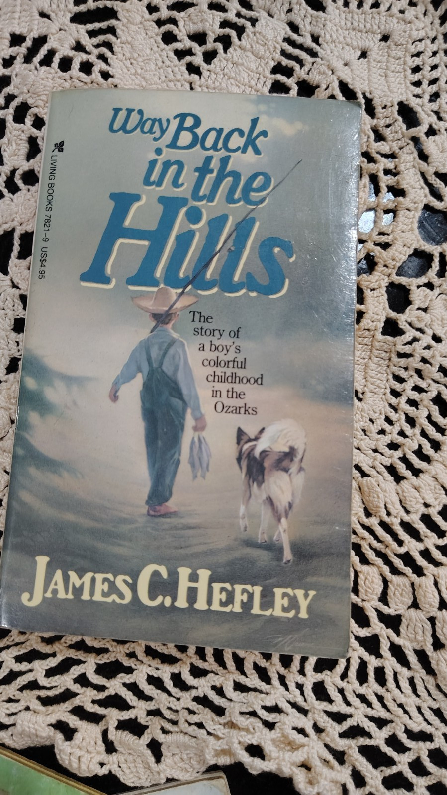 way back in the hills James c. Hefley pb vintage 1985