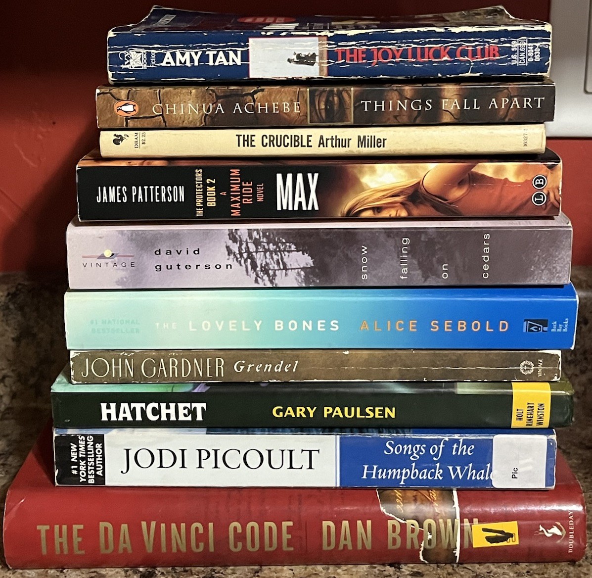 Banned Book Lot 10 Challenged Achebe Miller Picoult Hatchet Grendel Tan