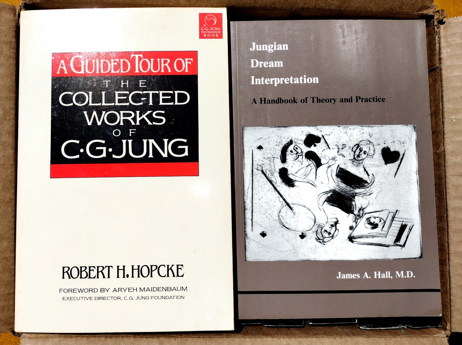 Carl Jung Collection, Lot of 12 Books, Paperback, Jungian Psychology