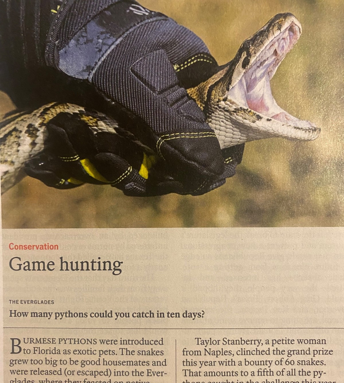 DONALD TRUMP economist ROBERT KENNEDY hunting pythons FANTASY PREMIER LEAGUE