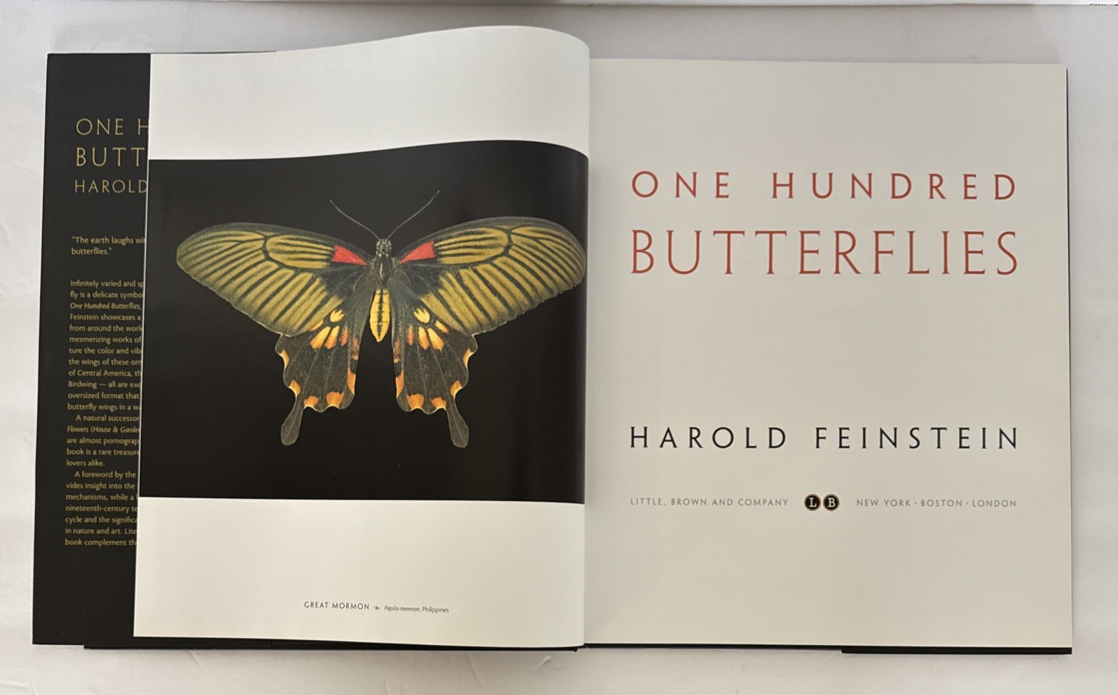 One Hundred Butterflies Hardcover Book by Harold Feinstein Dust Cover Color Pics