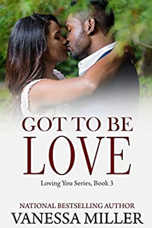 Got to Be Love Paperback Vanessa Miller