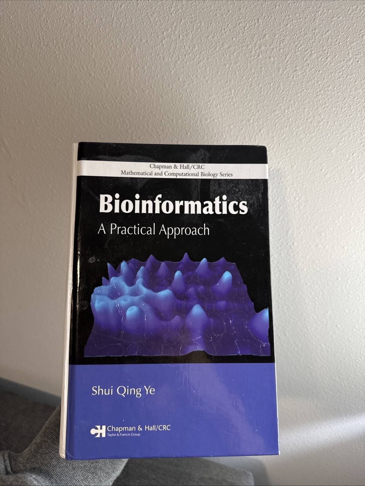 Bioinformatics: A Practical Approach by Shui Qing Ye