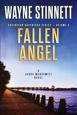 Fallen Angel : A Jesse Mcdermitt Novel by Wayne Stinnett (2016, Trade Paperback)