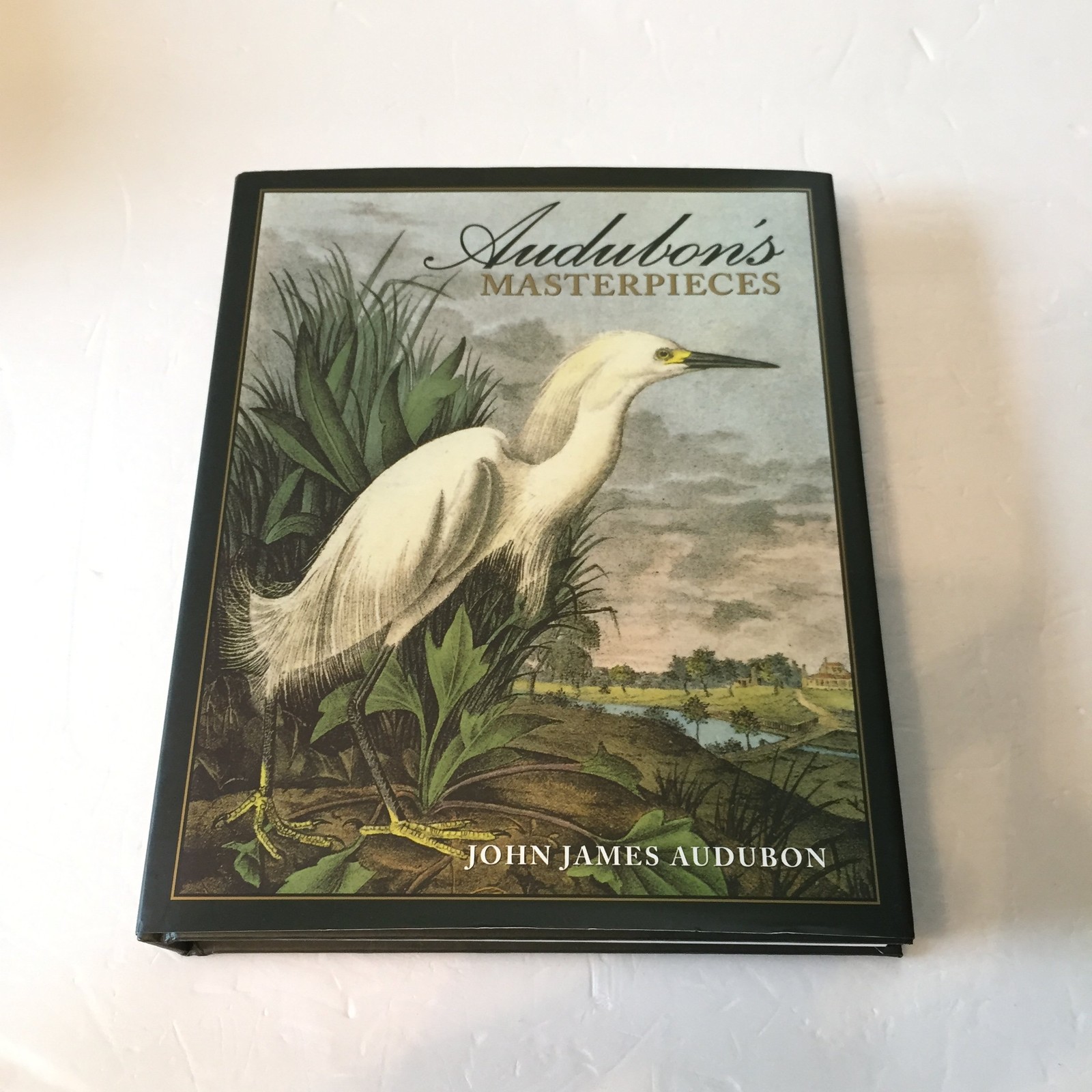 Audubon’s Masterpieces: 150 Prints from the Birds of America