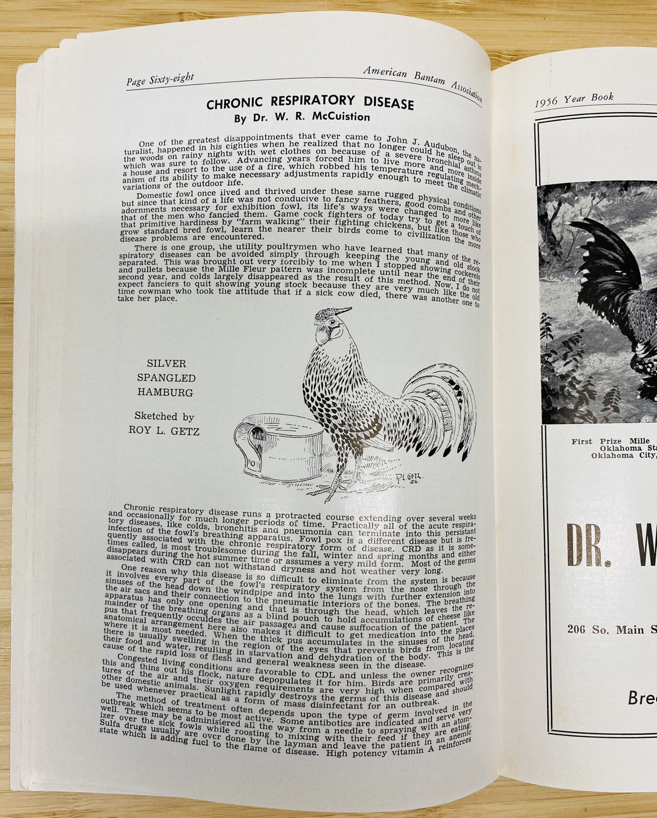 American Bantam Association- 1956 Year Book ~ Miniature Chicken Breeders Essays
