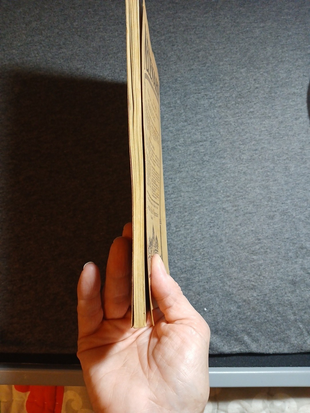 1919 The Rhineland Guide PB 96 Pages 51 Colored Photographs 7 Etchings & Maps