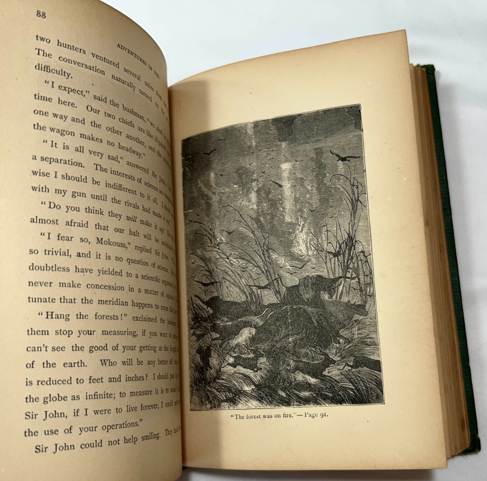 Adventures in the Land of the Behemoth, Jules Verne, Fine Binding, 1874
