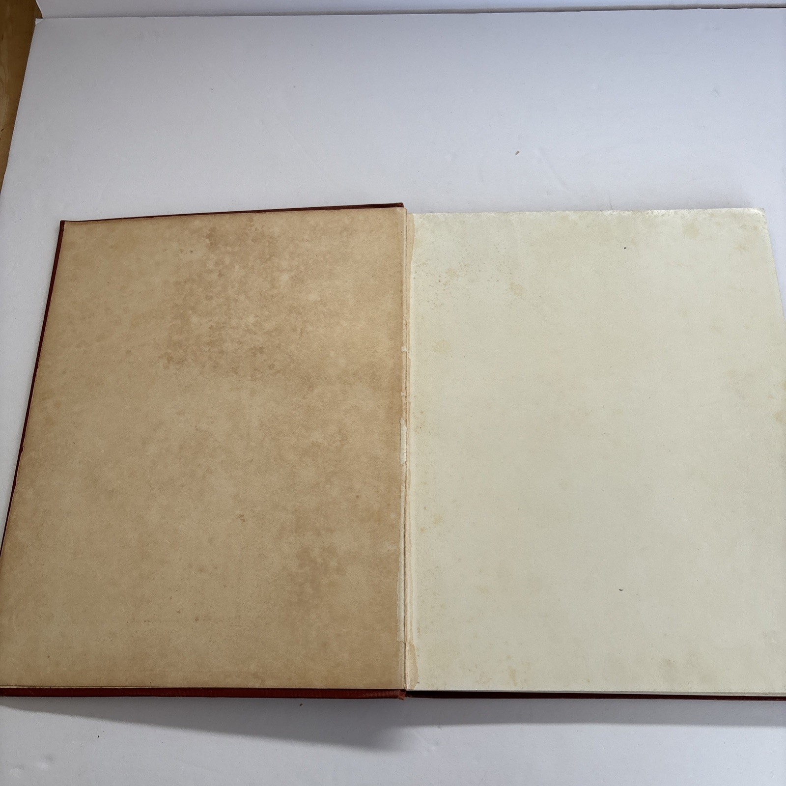 1909 American Beauties by Harrison Fisher Hardcover The Bobbs-Merrill Company