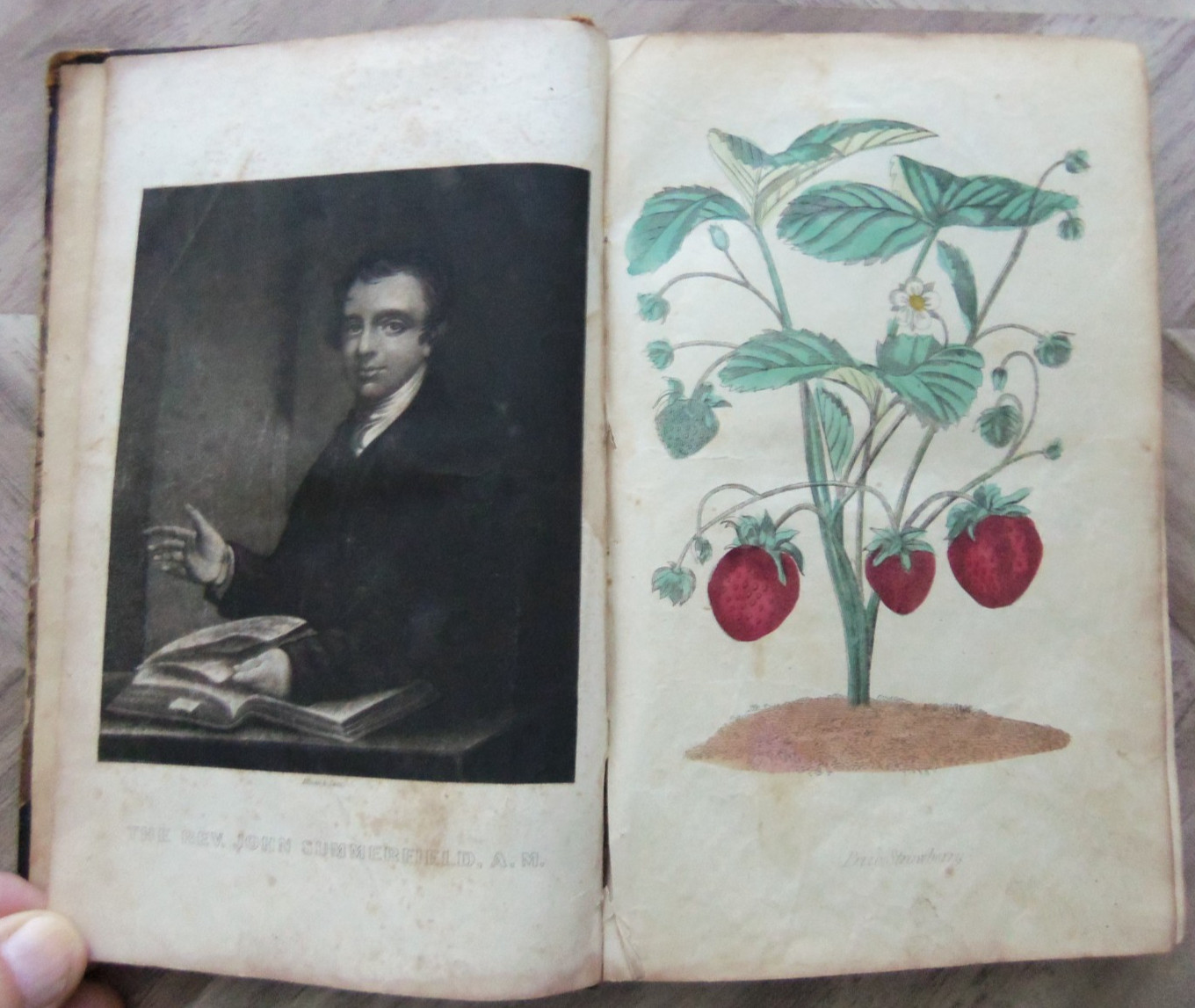 1847 1st Ed THE CHRISTIAN WREATH: RELIGION, MORALITY, LITERATURE J. Van Court