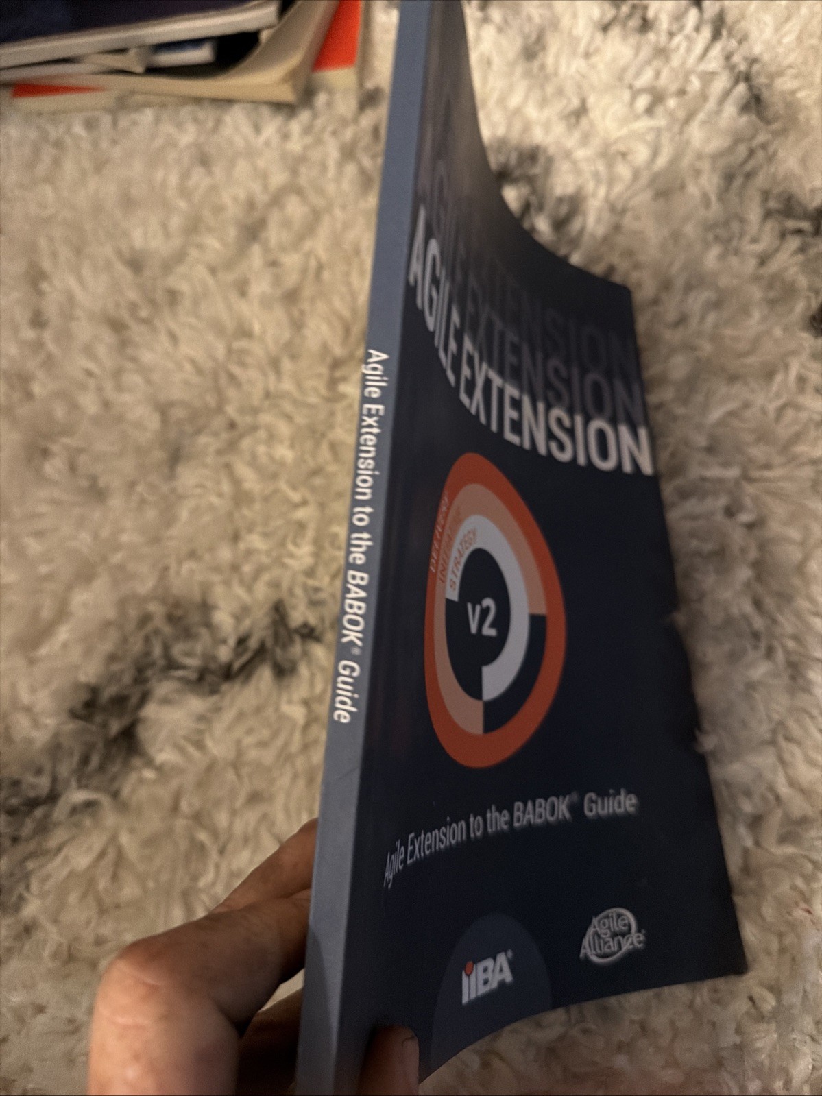 Agile Extension to the BABOK(R) Guide: Version 2 by Iiba