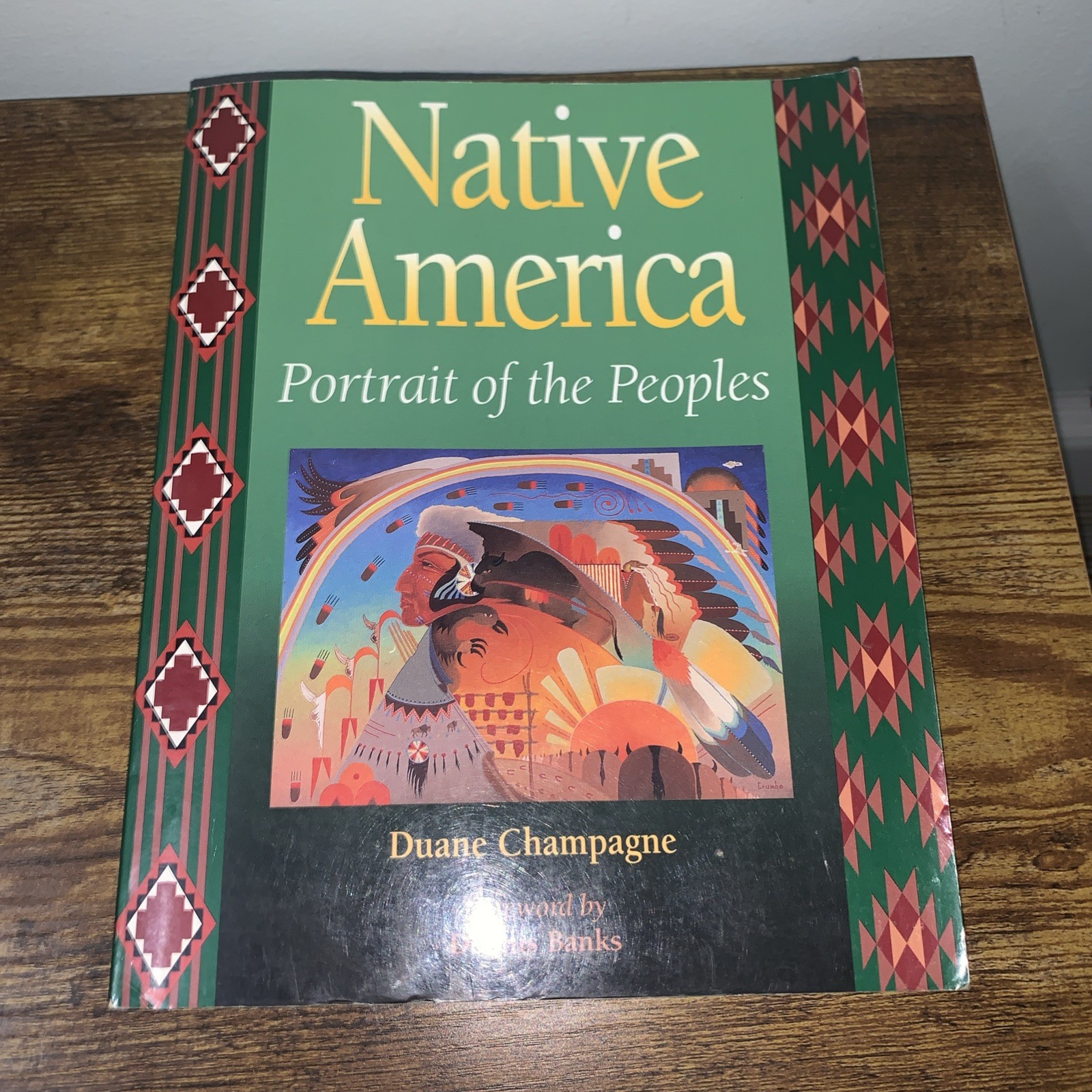 NATIVE AMERICA Portrait of the Peoples By Duane Champagne 1994