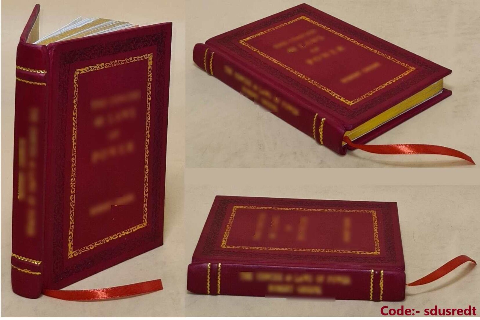 Tidy the F*ck Up: The American Art of Organizing Your Sh [Premium Leather Bound]