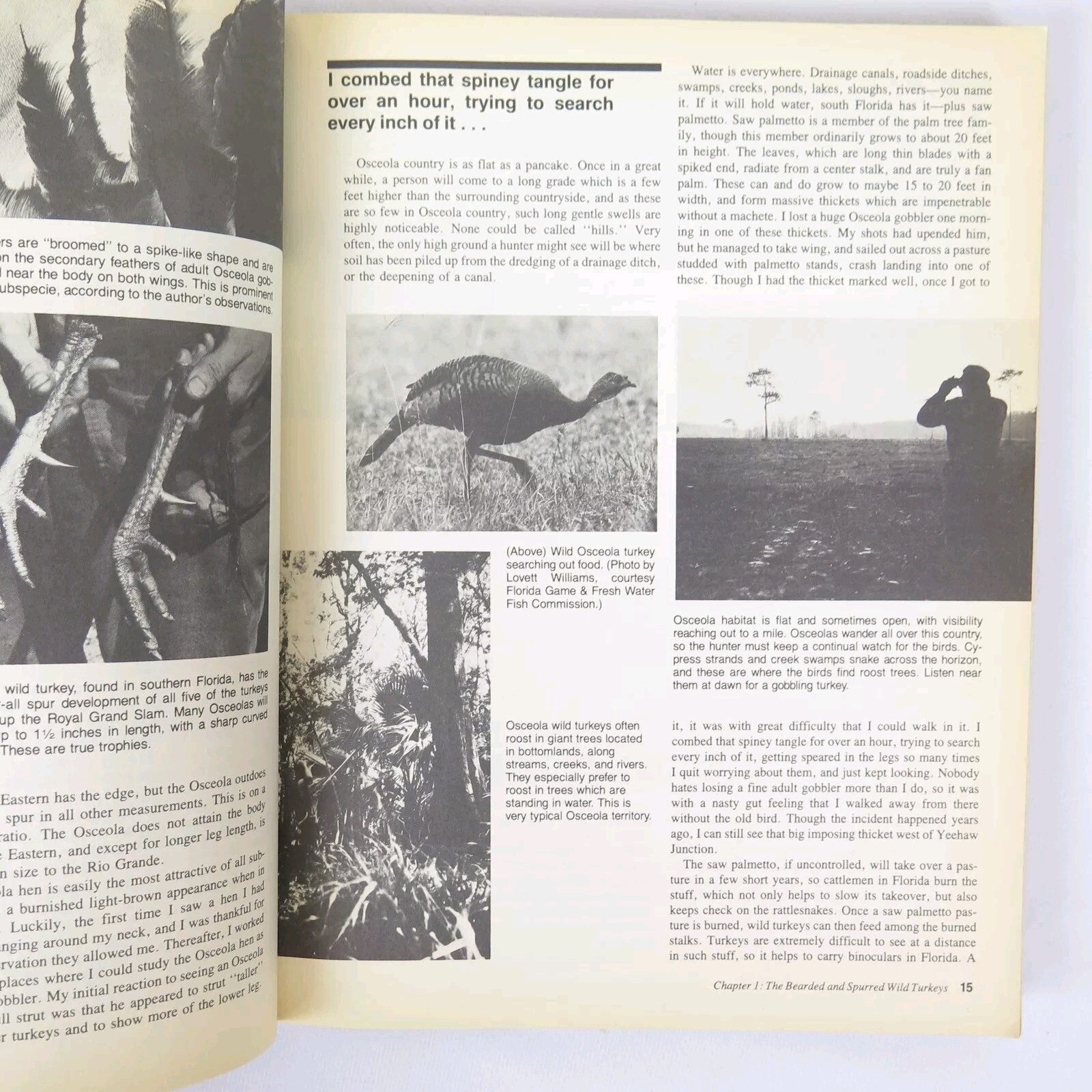 Turkey Hunters Digest Book 1976 by Dwain Bland Trade Paperback 8.25 X 10.75