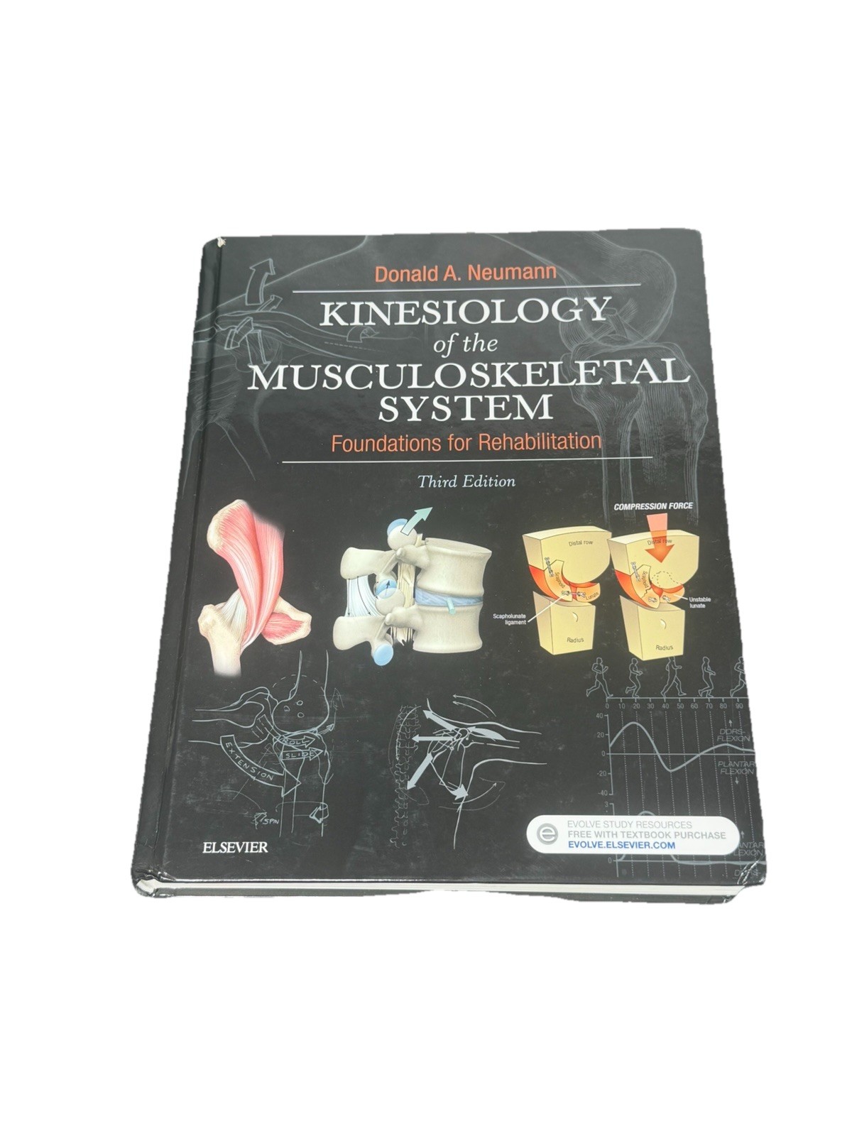 Kinesiology of the Musculoskeletal System : Foundations for Rehabilitation