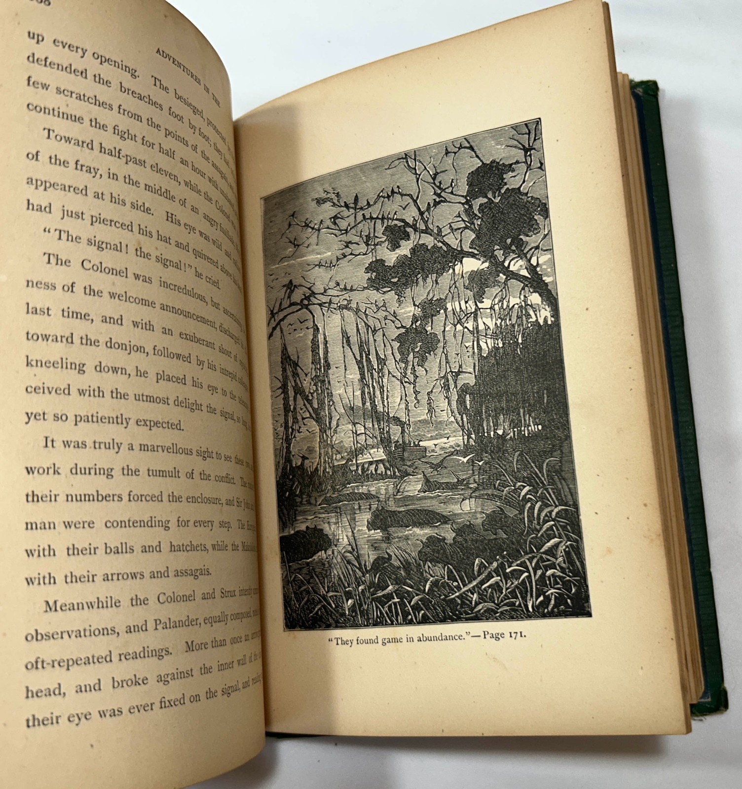 Adventures in the Land of the Behemoth, Jules Verne, Fine Binding, 1874