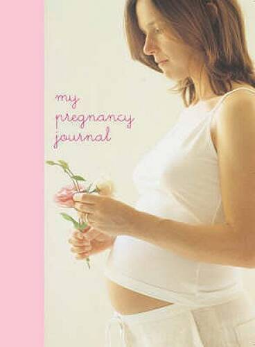 My Pregnancy Journal – Stationery By Ryland Peters Small – GOOD