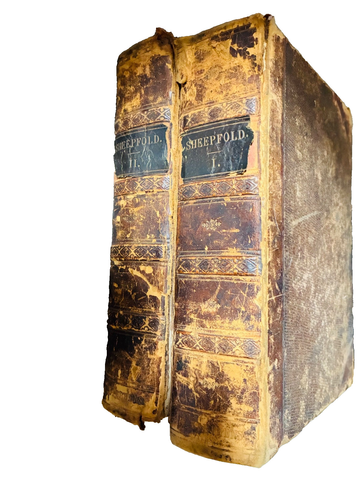 1858 Timothy East SHEEPFOLD COMMON 2 Vol Illustrated Leather Poor Complete AS-IS