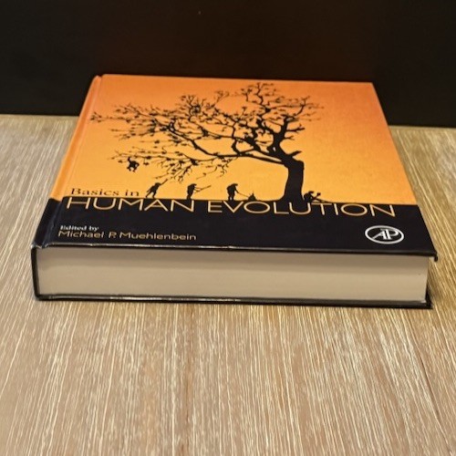 Basics in Human Evolution by Michael P. Muehlenbein 2015 HC