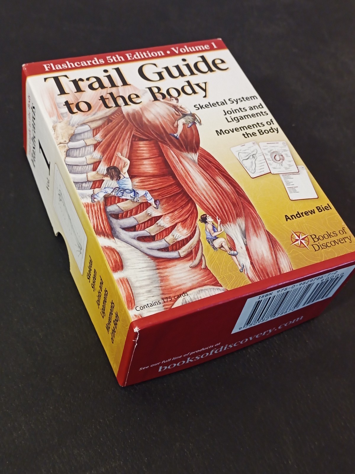 Trail Guide To The Body Flashcards 5th Edition Vol 1 Skeletal Joints Ligaments