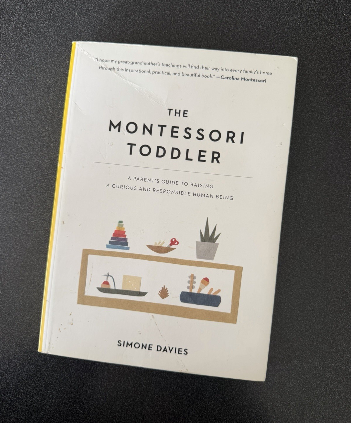 The Montessori Toddler PB by Simone Davies – Parenting Montessori Ages 2-3