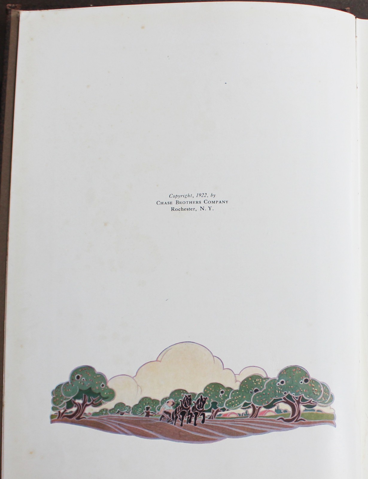 Rare Antique Old Book Chase Fruit Tree Flower Garden 1922 Vine Natural Nature ⭐
