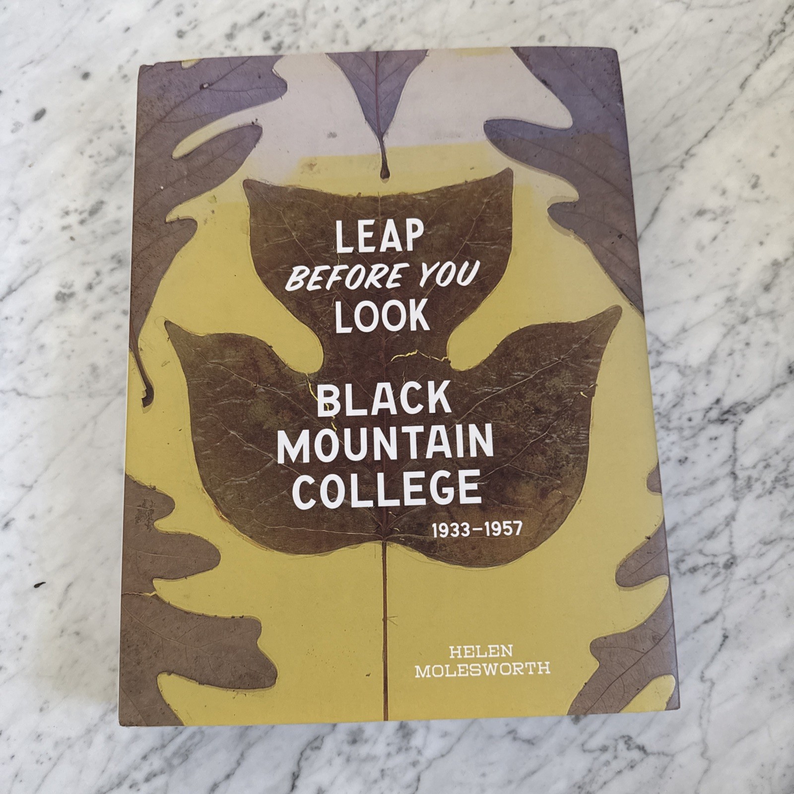 Leap Before You Look: Black Mountain College 1933-1957, Hardcover Molesworth
