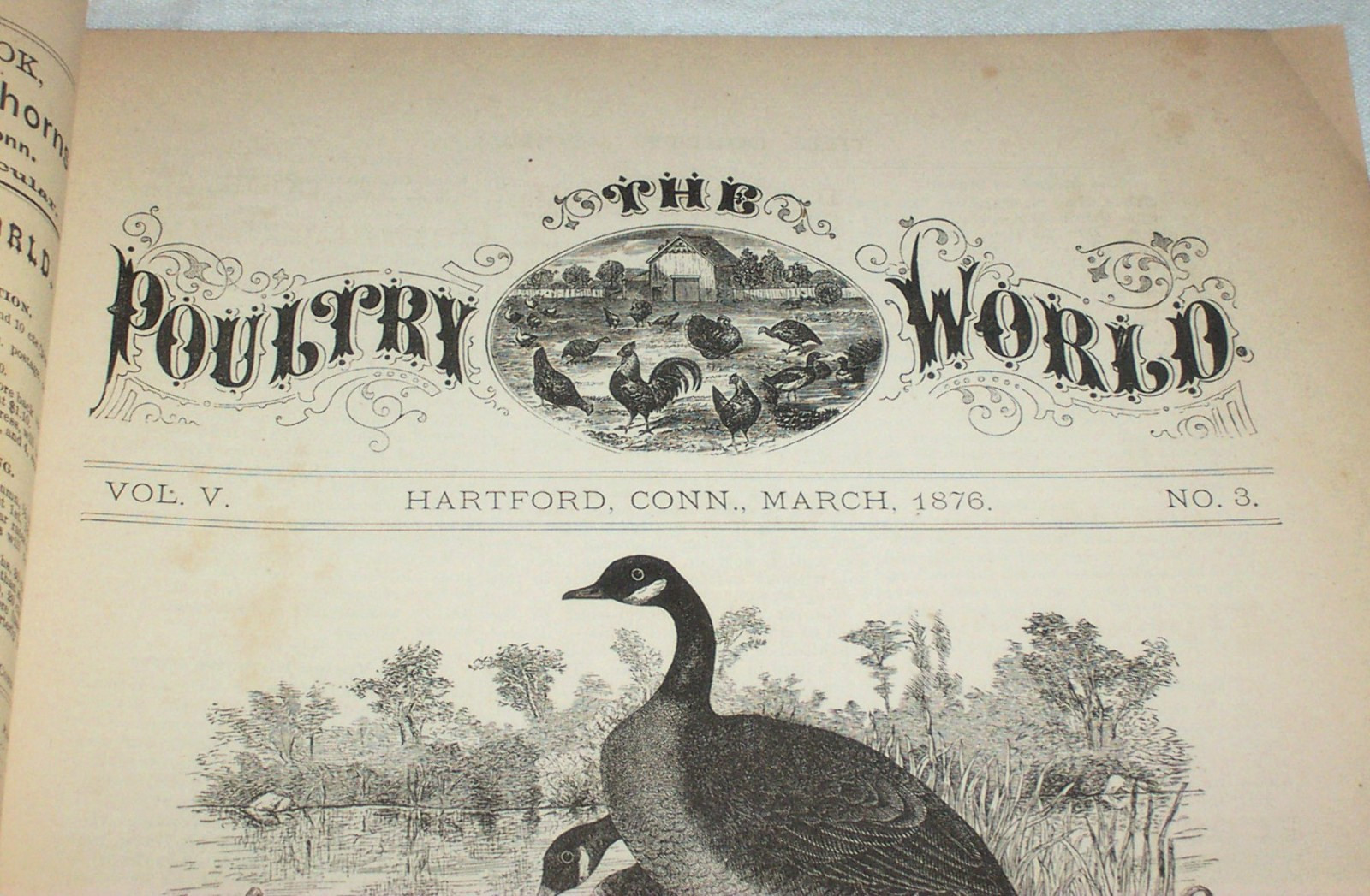 1876 Early Issue of POULTRY WORLD Vol. 5 No. 3 Chickens Game Fowls Farming Farm