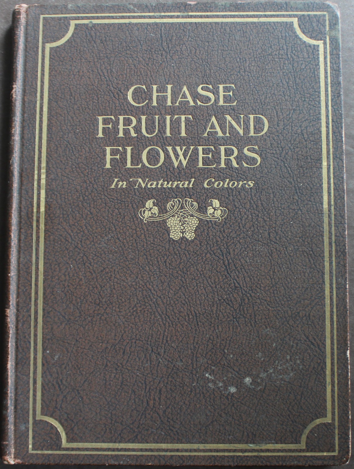 Rare Antique Old Book Chase Fruit Tree Flower Garden 1922 Vine Natural Nature ⭐