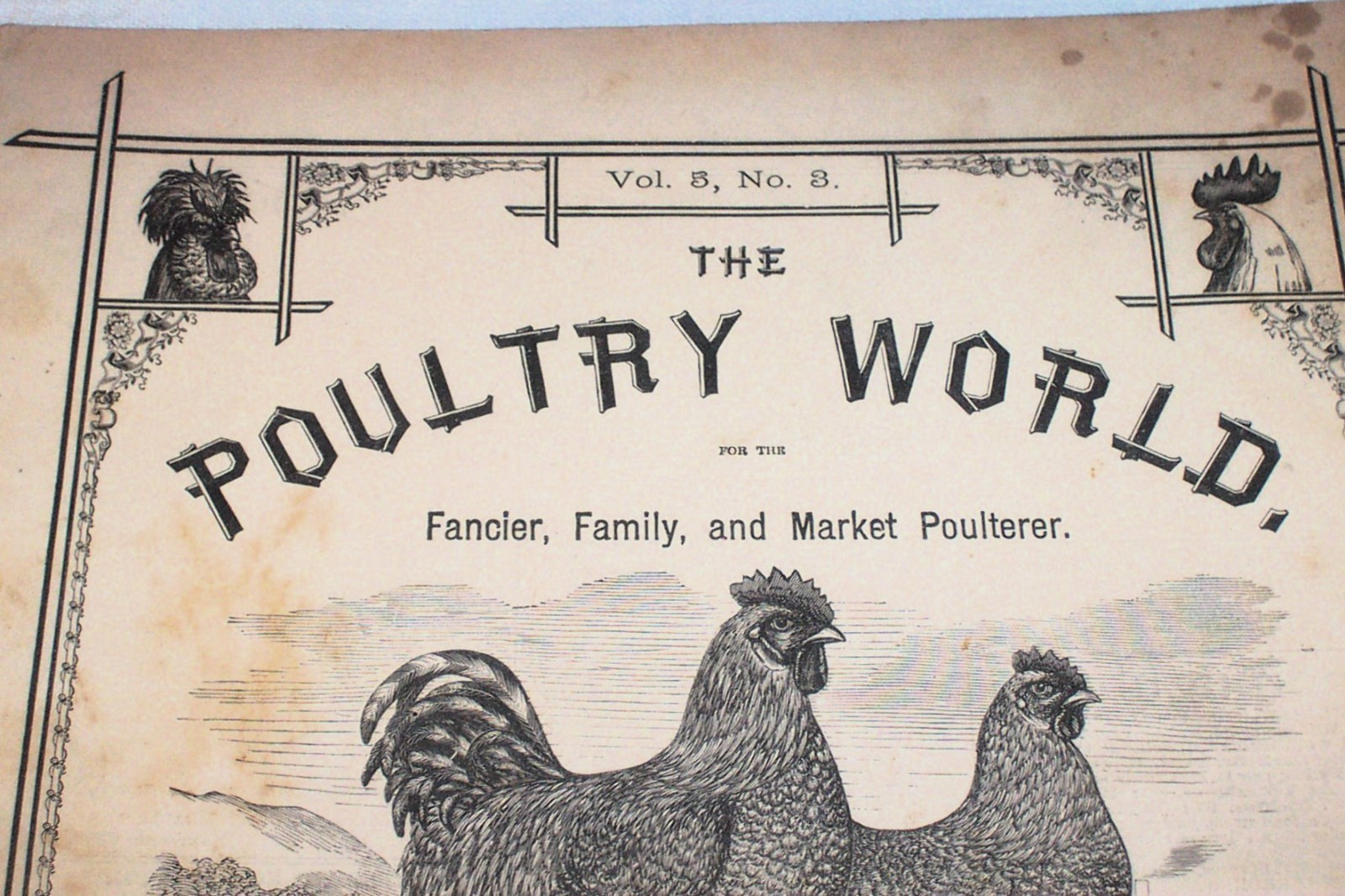 1876 Early Issue of POULTRY WORLD Vol. 5 No. 3 Chickens Game Fowls Farming Farm