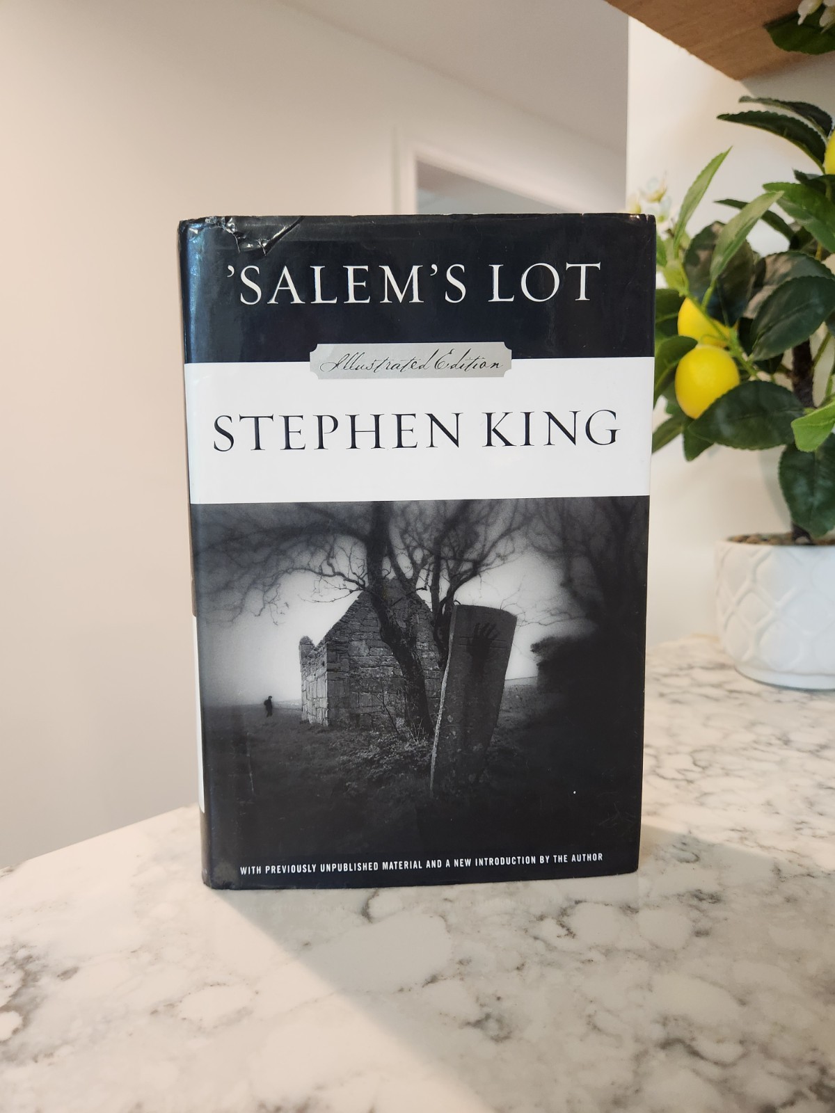 Salem’s Lot by Stephen King (2005, Hardcover) Illustrated First Edition