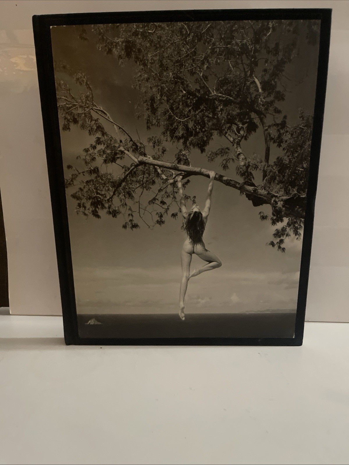 Patrick Demarchelier: Photographs, Demarchelier, Patrick, Good Book