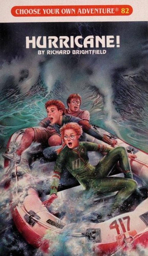 Hurricane! Paperback Richard Brightfield