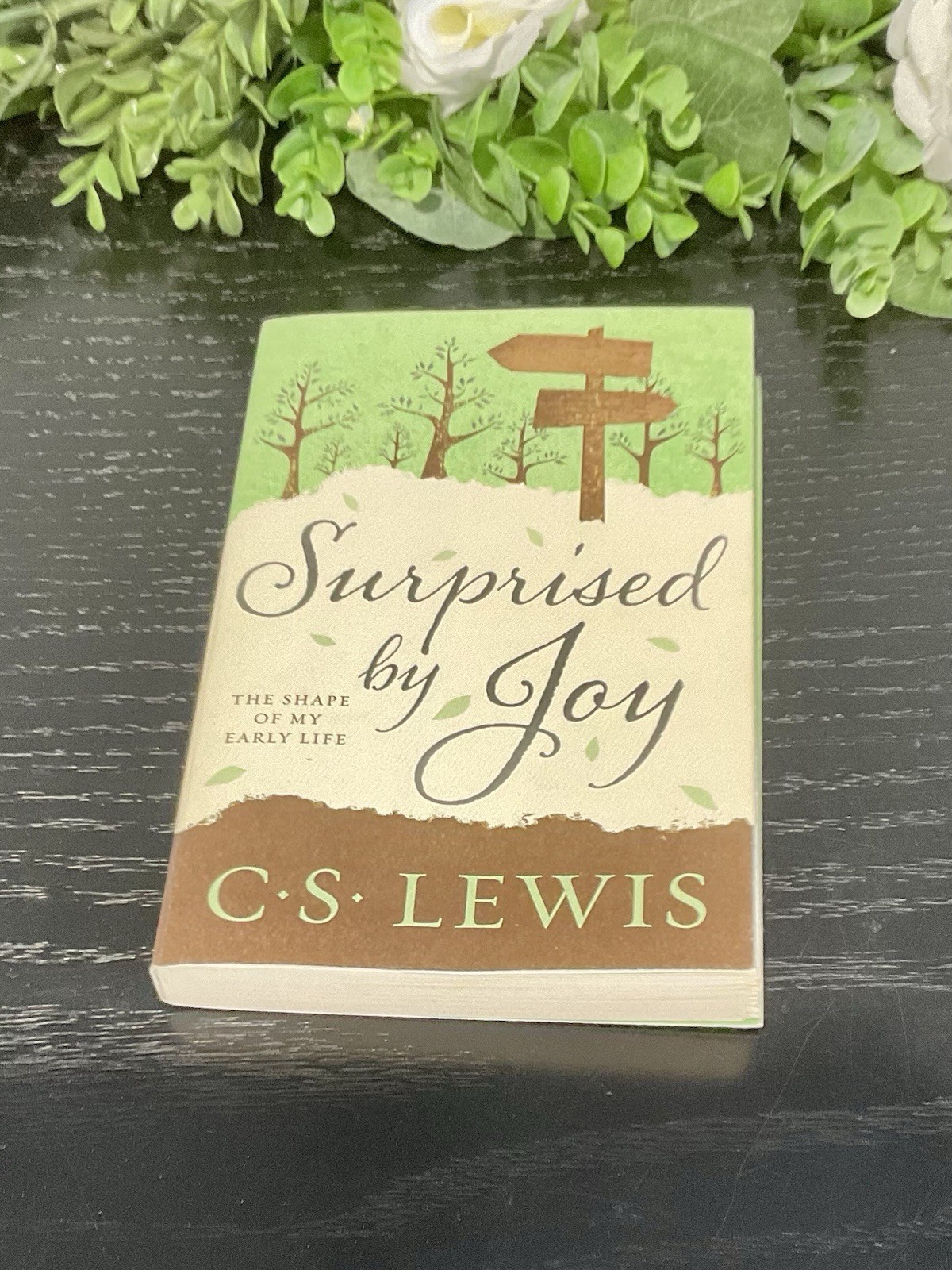 Surprised by Joy C.S. Lewis Paperback Autobiography HarperOne Christian Book